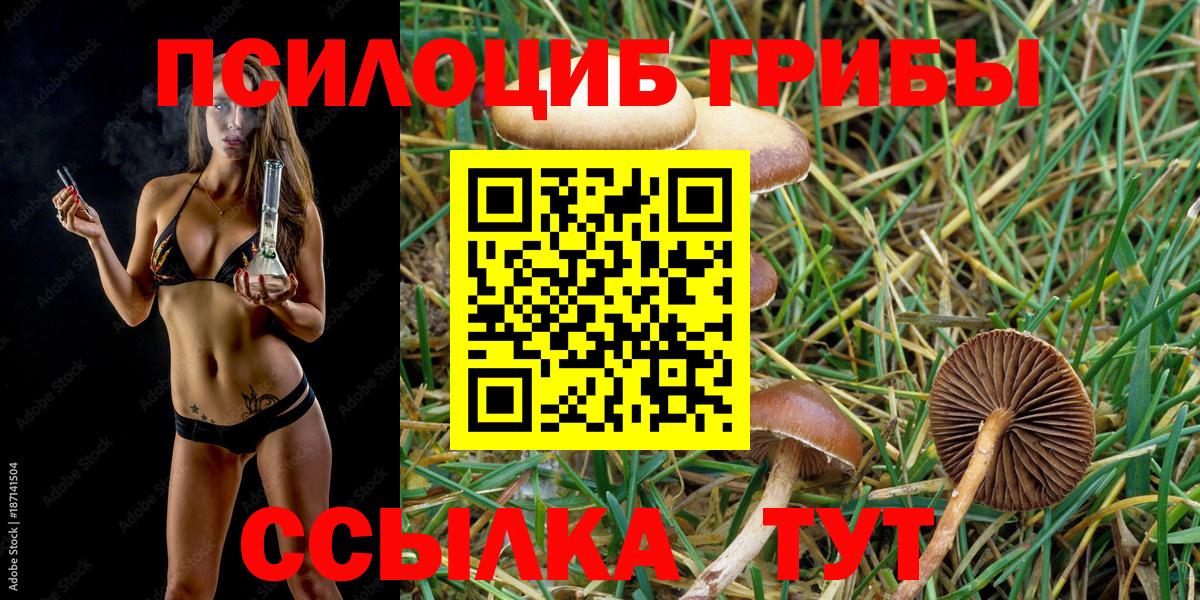 Галлюциногенные грибы Cubensis Темрюк